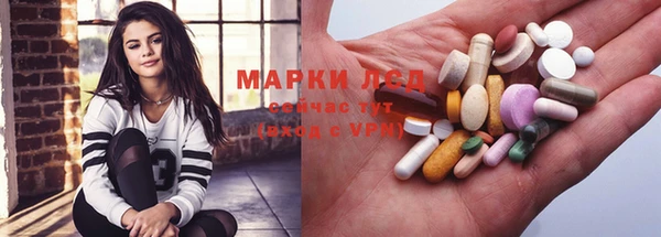 спайс Аркадак
