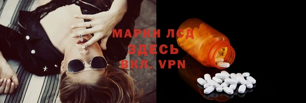спайс Аркадак