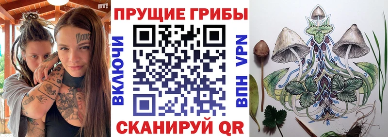 Галлюциногенные грибы MAGIC MUSHROOMS  Калуга 